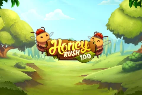 Honey Rush 100 slot game artwork