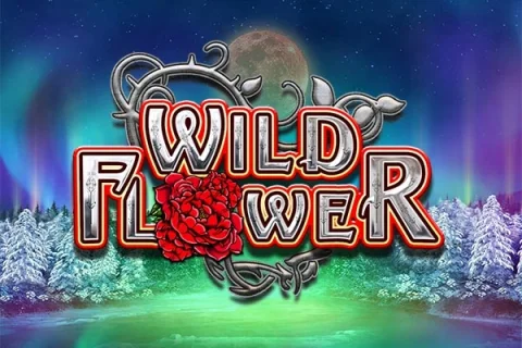 Wild Flower slot game artwork