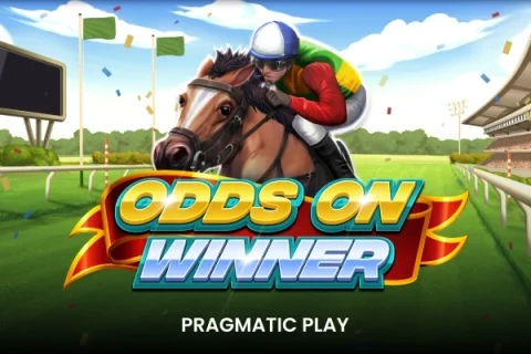 Odds On Winner game artwork