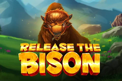Release the Bison game artwork
