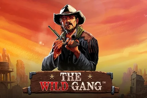 The Wild Gang game artwork