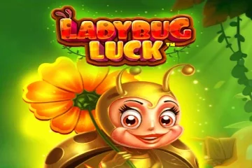 Ladybug Luck game artwork