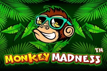 Monkey Madness slot game artwork