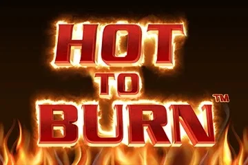 Hot to Burn game artwork