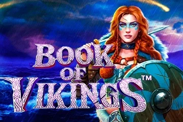 Book of Vikings game artwork
