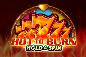 Hot to Burn Hold & Spin game artwork