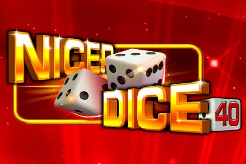 Nicer Dice 40 game artwork