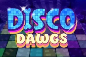 Disco Dawgs slot game artwork