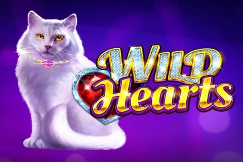 Wild Hearts slot game artwork