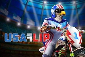 USA Flip slot game artwork