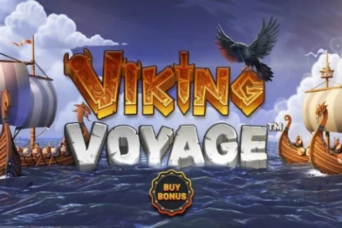 Viking Voyage game artwork