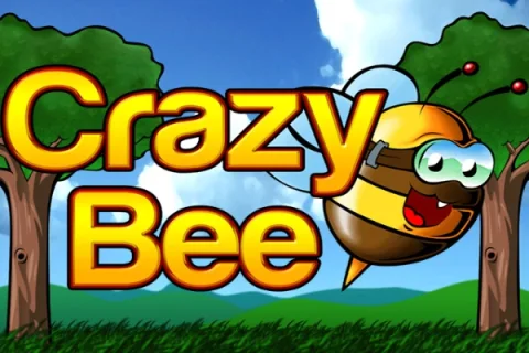 Crazy Bee slot game artwork
