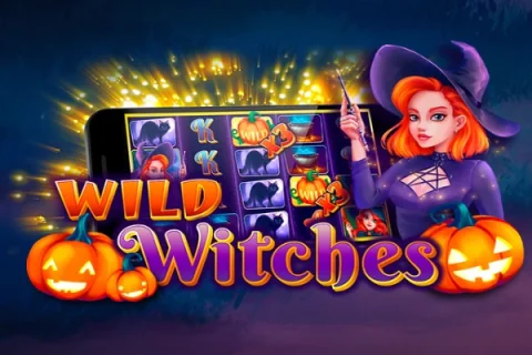 Wild Witches slot game artwork