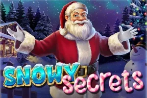 Snowy Secrets game artwork