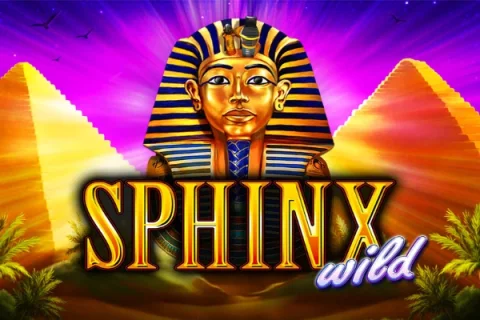 Sphinx Wild game artwork