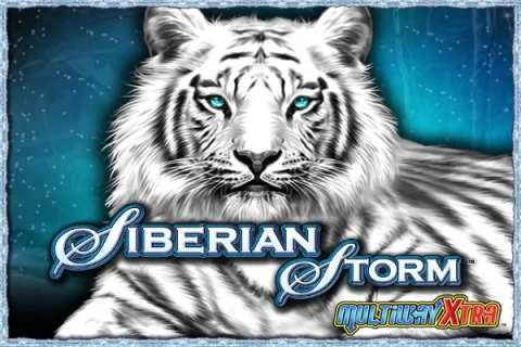 Siberian Storm game artwork
