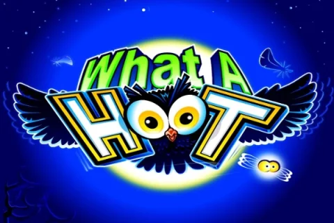 What A Hoot game artwork
