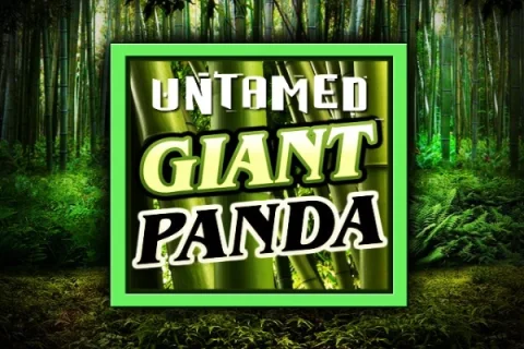 Untamed Giant Panda game artwork