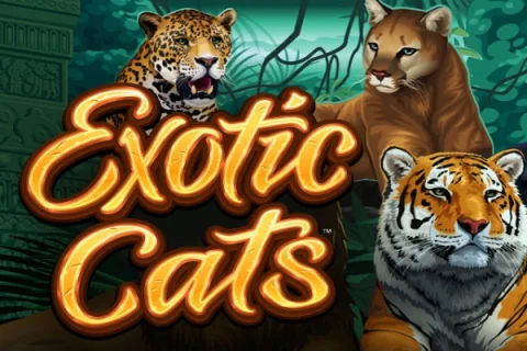 Exotic Cats slot game artwork