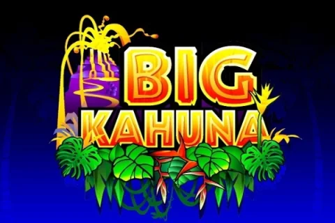 Big Kahuna slot game artwork
