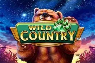 Wild Country game artwork