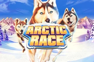 Arctic Race game artwork