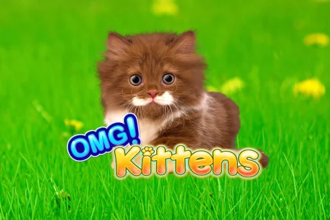 OMG Kittens slot game artwork