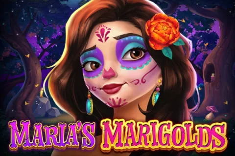 Maria’s Marigolds game artwork