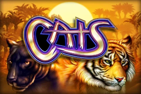 Cats game artwork