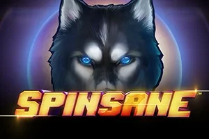 Spinsane slot game artwork