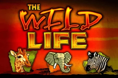 The Wild Life slot game artwork