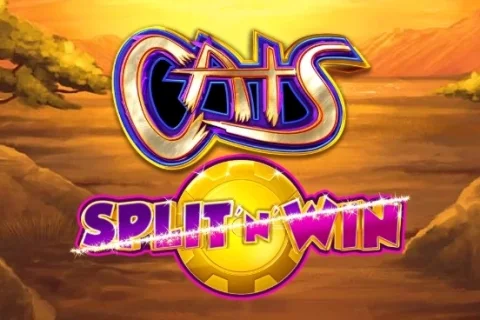 Cats Split ‘n’ Win slot game artwork