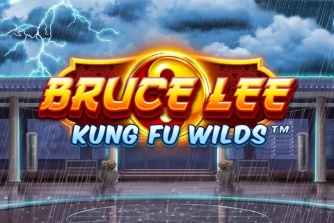 Bruce Lee Kung Fu Wilds game artwork