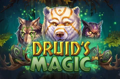 Druid’s Magic slot game artwork