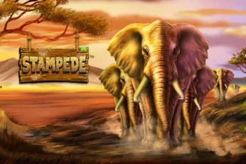 Stampede slot game artwork