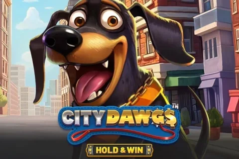 City Dawgs – Hold & Win slot game artwork