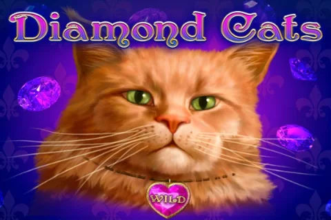 Diamond Cats slot game artwork