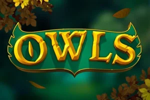Owls slot game artwork