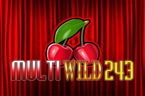Multi Wild 243 slot game artwork
