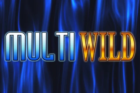 Multi Wild slot game artwork