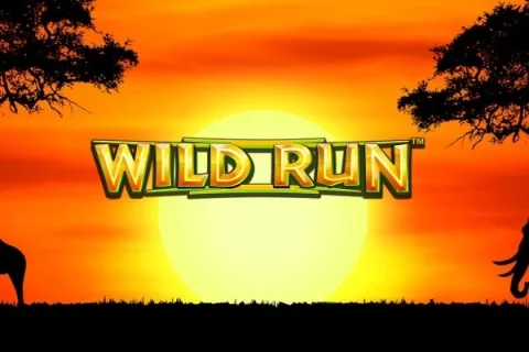 Wild Run slot game artwork