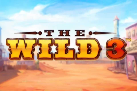 The Wild 3 slot game artwork
