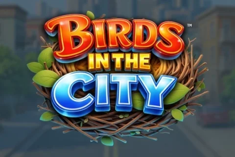 Birds in the City slot game artwork