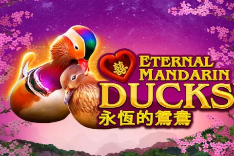 Power Prizes – Eternal Mandarin Ducks slot game artwork