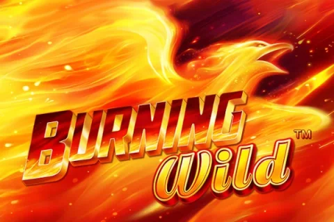 Burning Wild slot game artwork