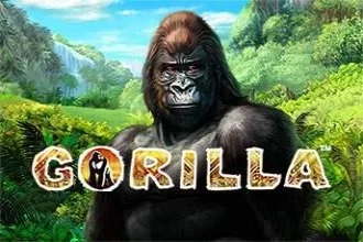 Gorilla slot game artwork