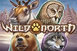 Wild North slot game artwork